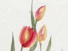 生肖屬龍2025年3月領(lǐng)證擇日指南 2025年3月哪天適合領(lǐng)證龍兔生肖