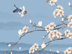 本命年屬兔送男朋友禮物送什么好,屬兔本命年戴什么首飾好