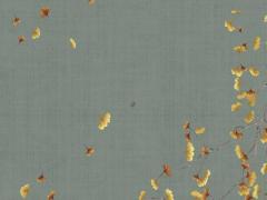 白羊座運(yùn)勢最近的一周 白羊座運(yùn)勢本周運(yùn)勢