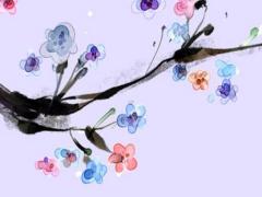 屬虎的人今年多大本命年,屬虎本命年多大歲數(shù)