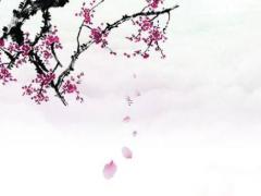 八字水火相濟的人特點 水火相濟什么意思