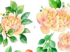 避開害雞2025年3月拆卸日子每日宜忌 2025年3月份入住最吉利日子