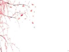 找人合的八字日子忌嫁娶 找人合八字要給多少錢