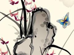 一等命的屬相雞 一等命運三個生肖都是什么