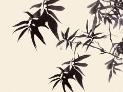 避開破虎2025年3月掛牌日子每日宜忌 2025年最精準老黃歷