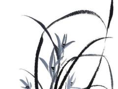 87年屬兔二月份什么命,87年2月兔是五行屬什么命