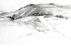 屬兔十月十五出生的是什么命,屬兔的生于十月