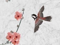 本命年虎能結(jié)婚么嗎屬兔女,本命年虎能結(jié)婚么嗎屬兔女人