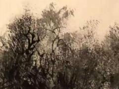 生肖屬牛2025年3月破土吉日吉兇預測 2025年3月屬牛入住新房的吉日吉時