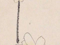 2025年3月領證吉日老黃歷要注意什么 2025年3月7日黃歷領證好嗎