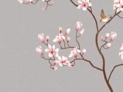 女人面相如此命運(yùn)富貴無比 女人面相與命運(yùn)