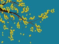 生肖屬牛2025年3月動(dòng)工黃道吉日 73年牛2025年正月開工的黃道吉日