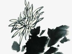 山雷頤卦如何占卜運勢 山雷頤卦卜易居