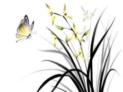 姓名與生辰八字學問 生辰八字和姓名決定人生嗎