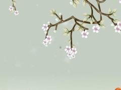 屬兔本命年戴銀鐲子好嗎,屬兔的人戴銀手鐲好嗎?