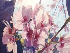 信佛的批生辰八字可以信么 信佛八字不準(zhǔn)是怎么回事