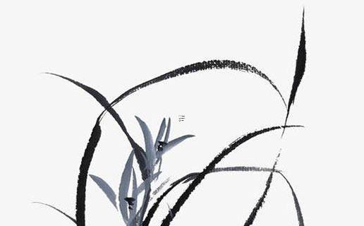 測(cè)一測(cè)我什么時(shí)候離婚 測(cè)試我什么時(shí)候會(huì)離婚 測(cè)一測(cè)我什么時(shí)候離婚 測(cè)試我什么時(shí)候會(huì)離婚