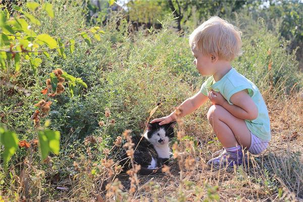 印堂痣的位置與命運圖解,印堂有痣面相學