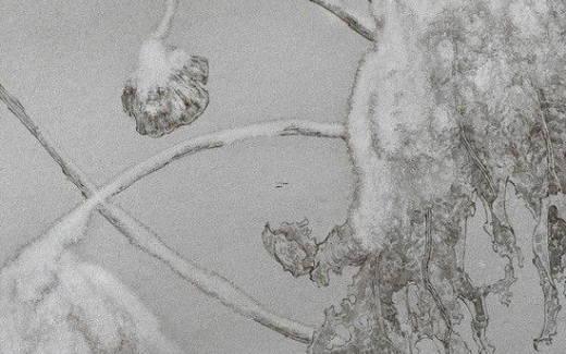 2025年5月好日子推薦適宜安葬 2025年5月好日子推薦適宜安葬