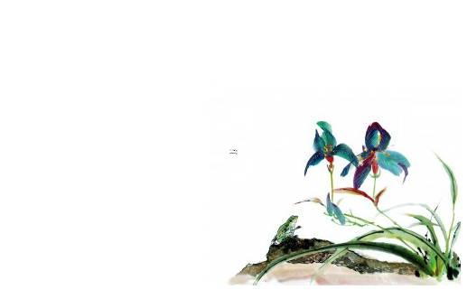 狐虛梵推宋茜八字 宋茜狐貍