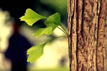 夢見鐵器 夢見鐵器