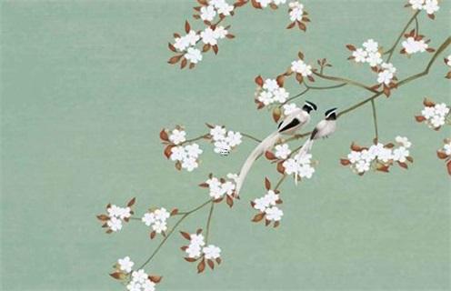 金牛座的8個性格特點 金牛座性格20個特點 金牛座的8個性格特點 金牛座性格20個特點