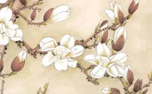 2025年5月吉日查詢適宜結婚日 2025年5月吉日查詢適宜結婚日