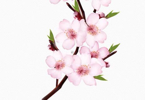 八字辛亥年己亥月己亥政詳批 辛亥日己亥時(shí)命運(yùn) 八字辛亥年己亥月己亥政詳批 辛亥日己亥時(shí)命運(yùn)