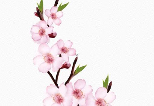 八字神煞大全精解童子 八字神煞百科 八字神煞大全精解童子 八字神煞百科