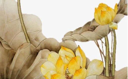 生辰八字金是什么意思 生辰八字金命是什么意思 生辰八字金是什么意思 生辰八字金命是什么意思