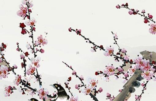 生肖年份對照表年齡 日歷生肖相沖表2023 生肖年份對照表年齡 日歷生肖相沖表2023