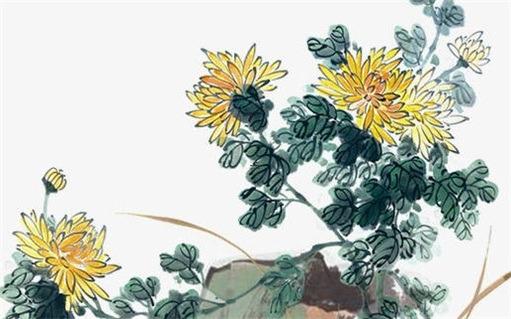 鼠跟虎生肖做夫妻好嗎 鼠跟虎生肖做夫妻好嗎婚姻如何 鼠跟虎生肖做夫妻好嗎 鼠跟虎生肖做夫妻好嗎婚姻如何