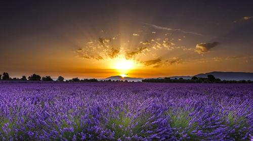 夢見K歌 夢見K歌