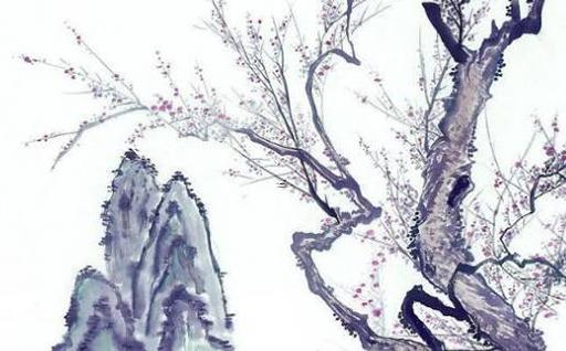 老公本命年生二胎好嗎,老公本命年得子好嗎