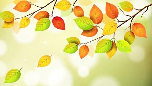 夢見光腳 夢見光腳