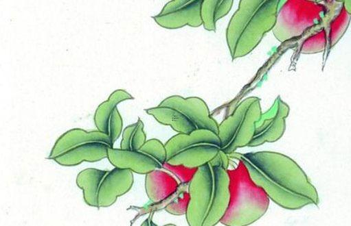 屬鼠女伴娘可以找屬鼠的嗎 女方屬鼠伴娘屬相? 屬鼠女伴娘可以找屬鼠的嗎 女方屬鼠伴娘屬相?