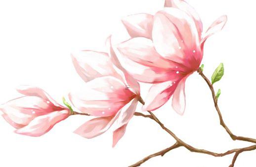 2025年5月好結(jié)婚證吉日測(cè)算 適宜哪日 2025年5月好結(jié)婚證吉日測(cè)算 適宜哪日