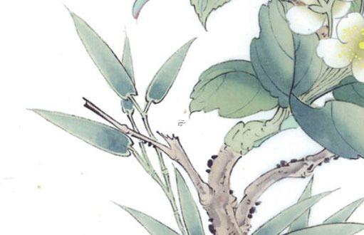 屬牛什么水晶能轉運,屬相牛適合什么水晶 屬牛什么水晶能轉運,屬相牛適合什么水晶