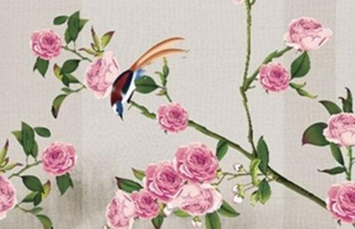 承認(rèn)虛歲嗎 承認(rèn)年齡 承認(rèn)虛歲嗎 承認(rèn)年齡