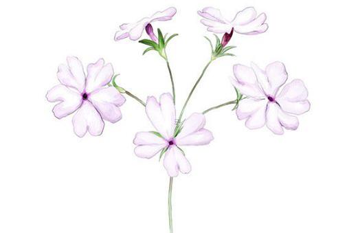 合租情人2的人物介紹 合租情人2電子 合租情人2的人物介紹 合租情人2電子