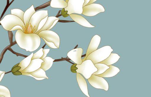 屬馬的四十幾歲 40多歲屬馬 屬馬的四十幾歲 40多歲屬馬