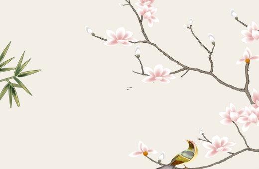 2025年5月哪日適合寶寶出生 2025年5月哪日適合寶寶出生