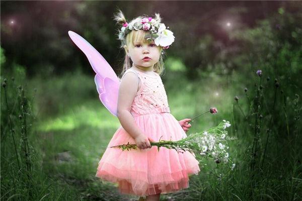 夢見酸棗 夢見酸棗