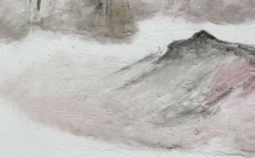 發財樹養護知識 發財樹的養護及注意事項 發財樹養護知識 發財樹的養護及注意事項