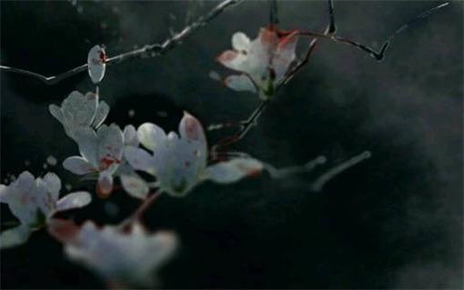 2025年5月修造吉日的適宜與測算 2025年5月修造吉日的適宜與測算