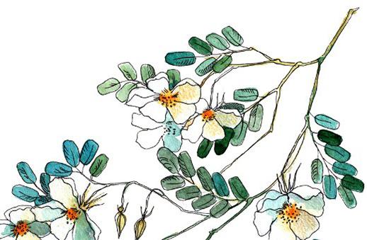 適合動土的吉日 2025年陰歷4月查詢 適合動土的吉日 2025年陰歷4月查詢