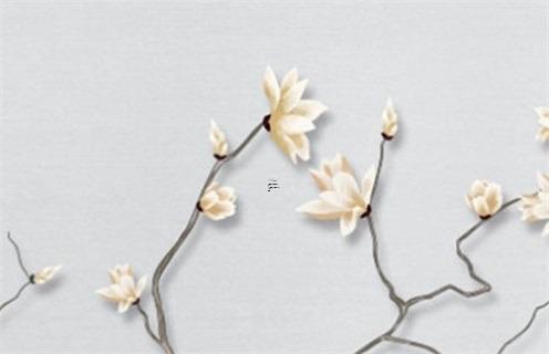 屬兔什么顏色是幸運色,屬兔什么顏色是幸運色和幸運色 屬兔什么顏色是幸運色,屬兔什么顏色是幸運色和幸運色