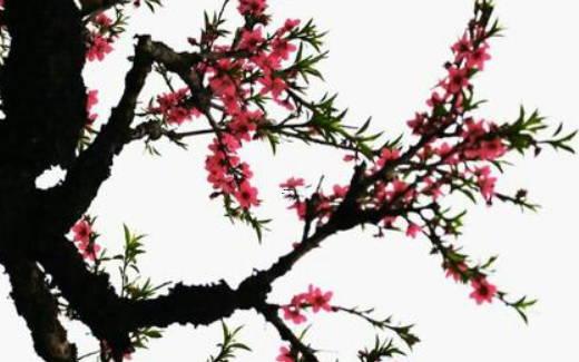 2025年4月動土裝修合適日子測算 哪天最好 2025年4月動土裝修合適日子測算 哪天最好