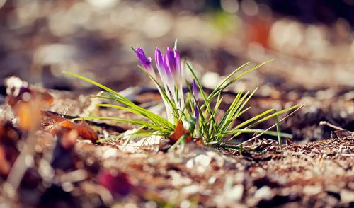 夢見買碗 夢見買碗
