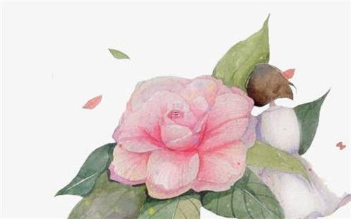 2025年四月屬相女孩的吉利日合適 哪天好 2025年四月屬相女孩的吉利日合適 哪天好